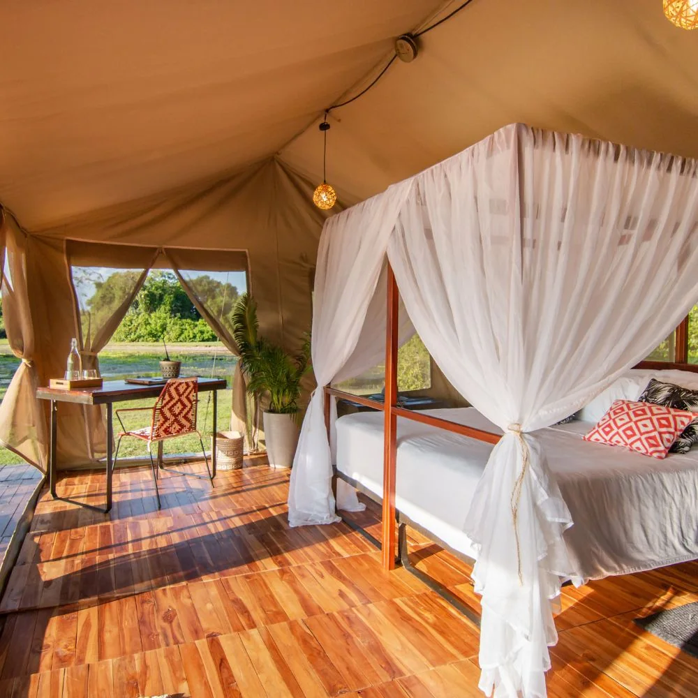 Corocora Wildlife Camp