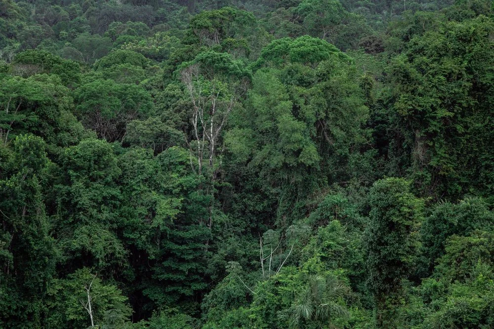 Parque Nacional Natural Amacayacu