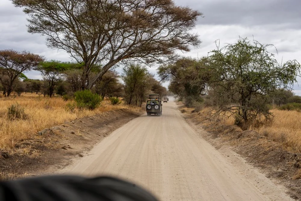 El safari llanero en campero