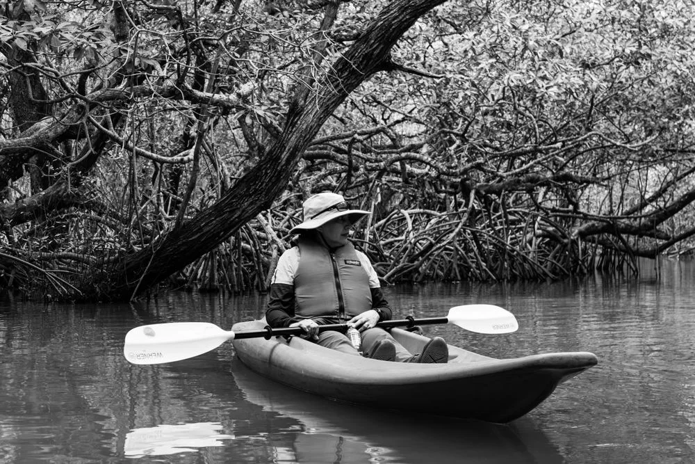 Los manglares de Isla Grande